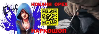 крисы Новодвинск