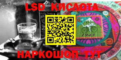 крисы Новодвинск