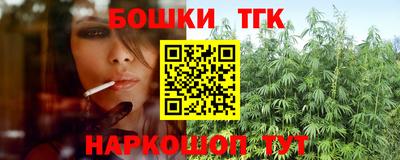 крисы Новодвинск
