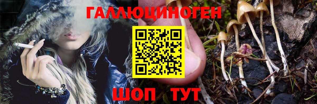 Рязань  Псилоцибиновые грибы мухоморы  Вход с VPN  Псилоцибиновые грибы MAGIC MUSHROOMS 
